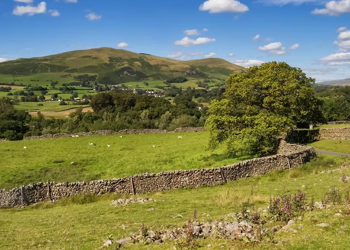 1 Bed In Oc-m29886 Feriehus *